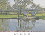 Bells Farm Pond